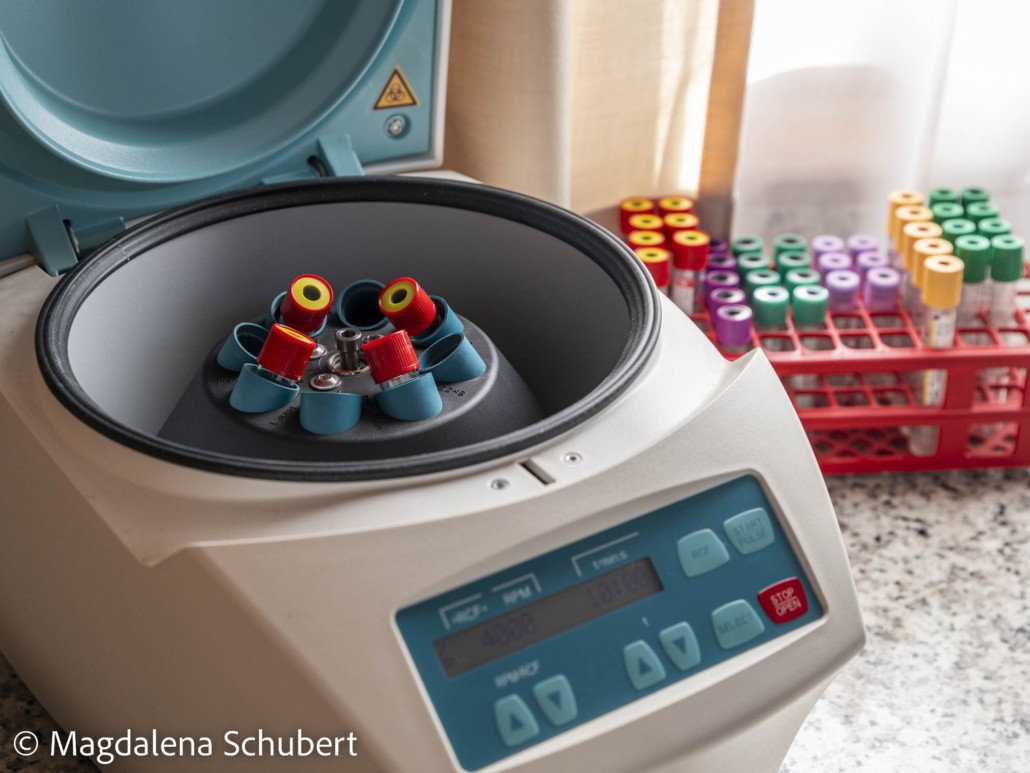 schubert_magdalena_Wögerbauer-145